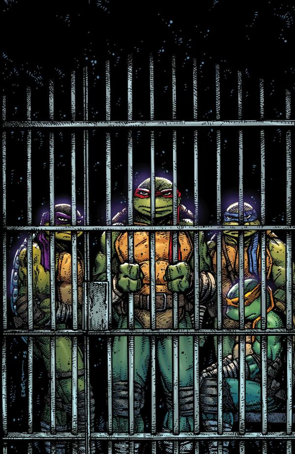 TEENAGE MUTANT NINJA TURTLES #11 VARIANT RI (10) (EASTMAN FULL ART) [1:10]