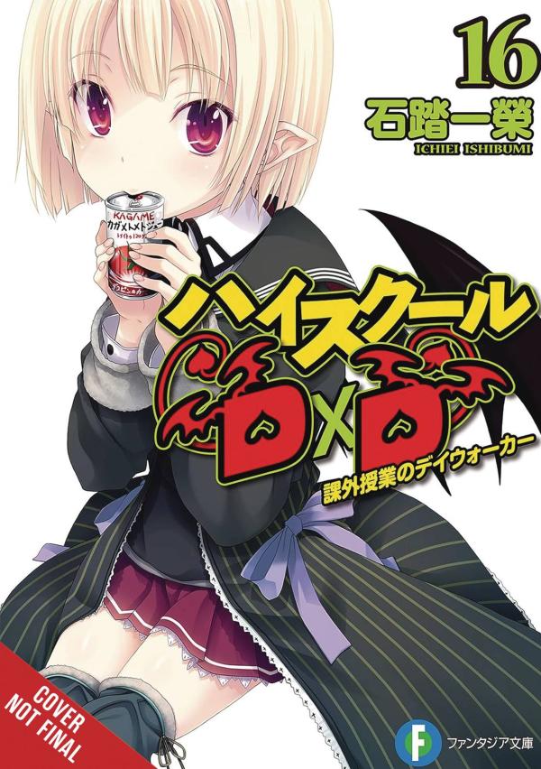 HIGH SCHOOL DXD LIGHT NOVEL SC VOL 16 (MR)