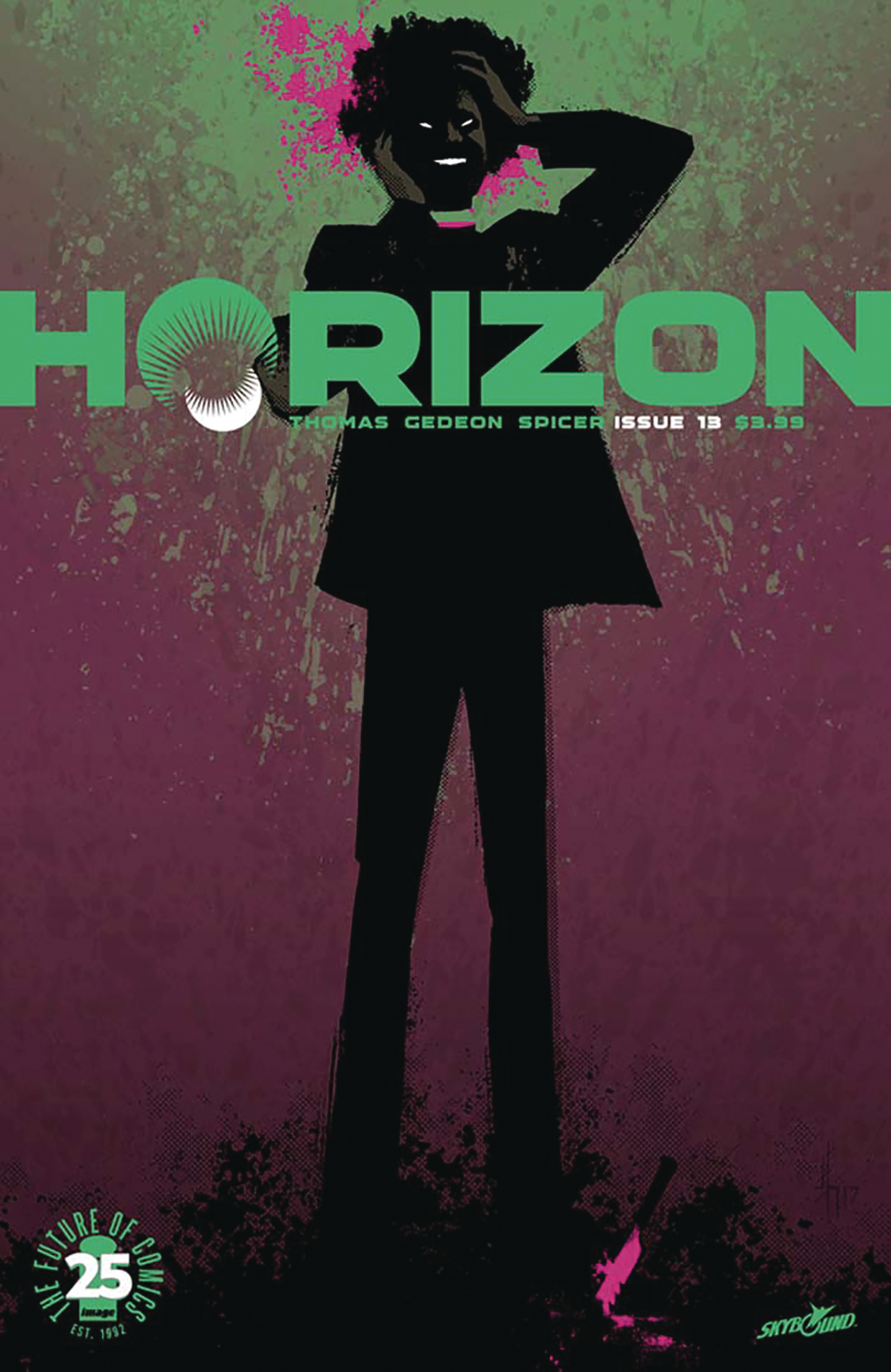 HORIZON #13