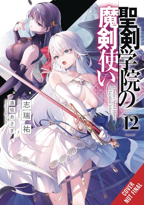 DEMON SWORD MASTER EXCALIBUR ACADEMY NOVEL SC VOL 12 (MR) (C