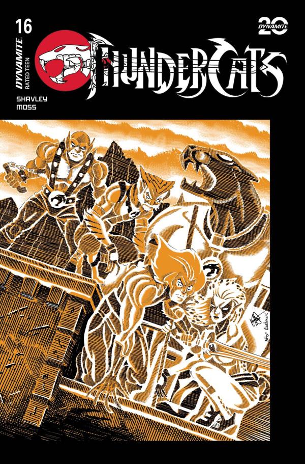 THUNDERCATS #16 CVR G HAESER TMNT HOMAGE