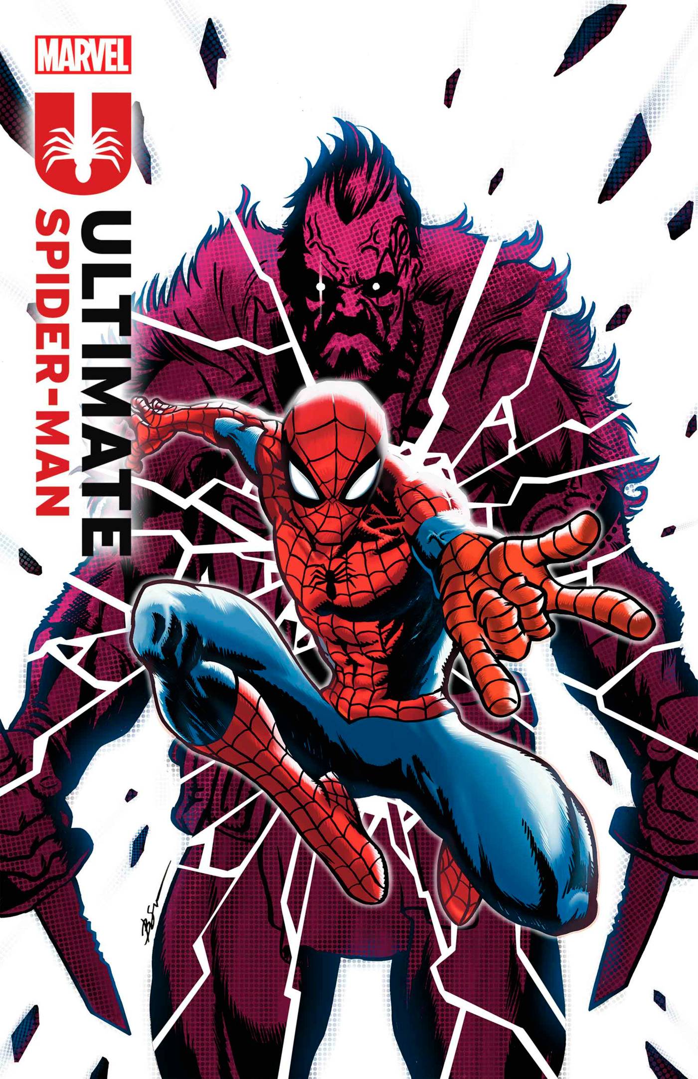 ULTIMATE SPIDER-MAN #13 SU ULTIMATE ONE YEAR IN FOIL VAR (NE