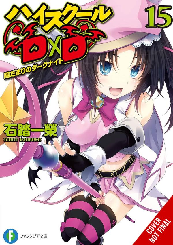 HIGH SCHOOL DXD LIGHT NOVEL SC VOL 15 (MR)