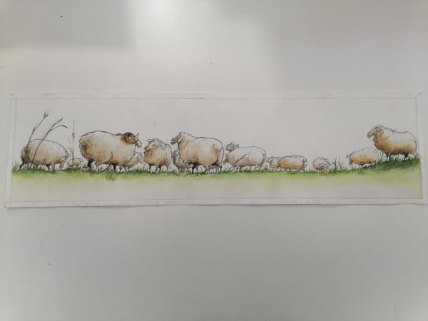 Les moutons dans le Pré