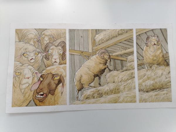 Les moutons dans la grange