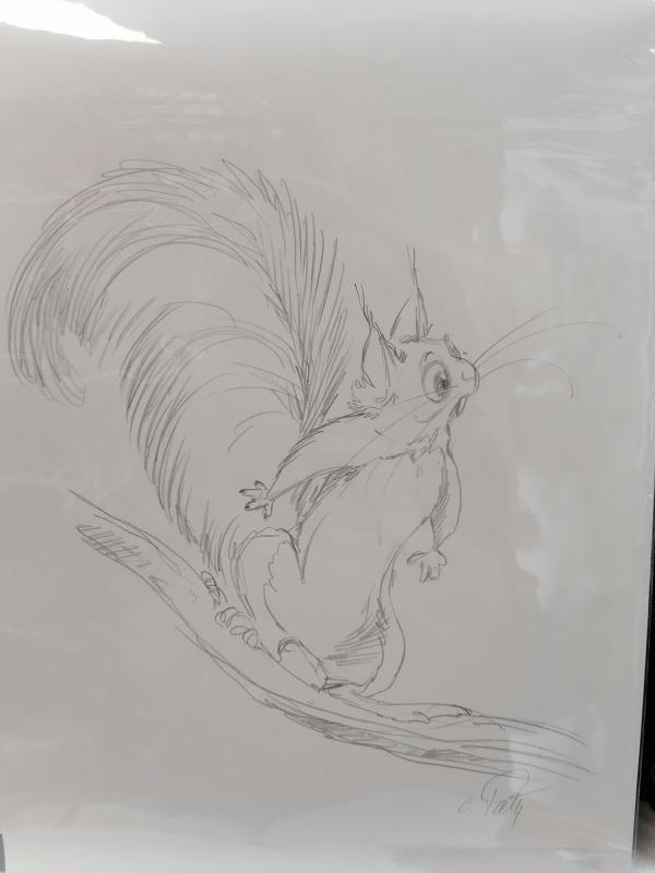 DESSIN ORIGINAL ECUREUIL SUR UNE BRANCHE CRAYONNé