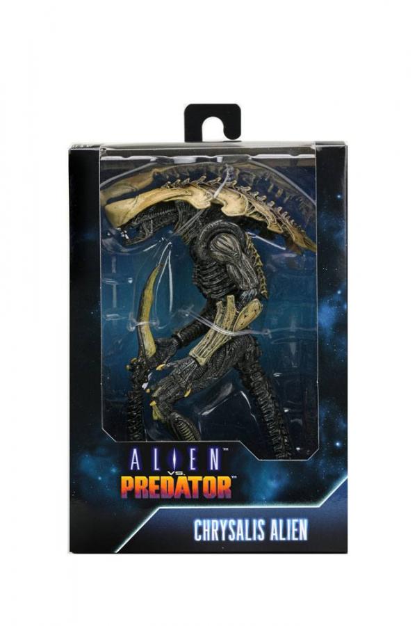 Alien vs Predator Chrysalis Alien