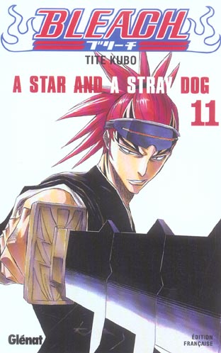 BLEACH - TOME 11 - A STAR AND A STRAY DOG