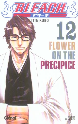 BLEACH - TOME 12 - FLOWER ON THE PRECIPICE