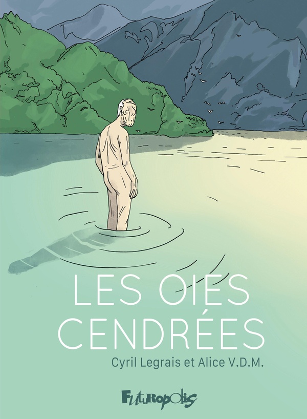 LES OIES CENDREES