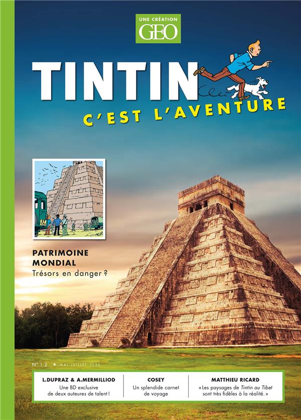 TINTIN - C'EST L'AVENTURE 12 - PATRIMOINE MONDIAL