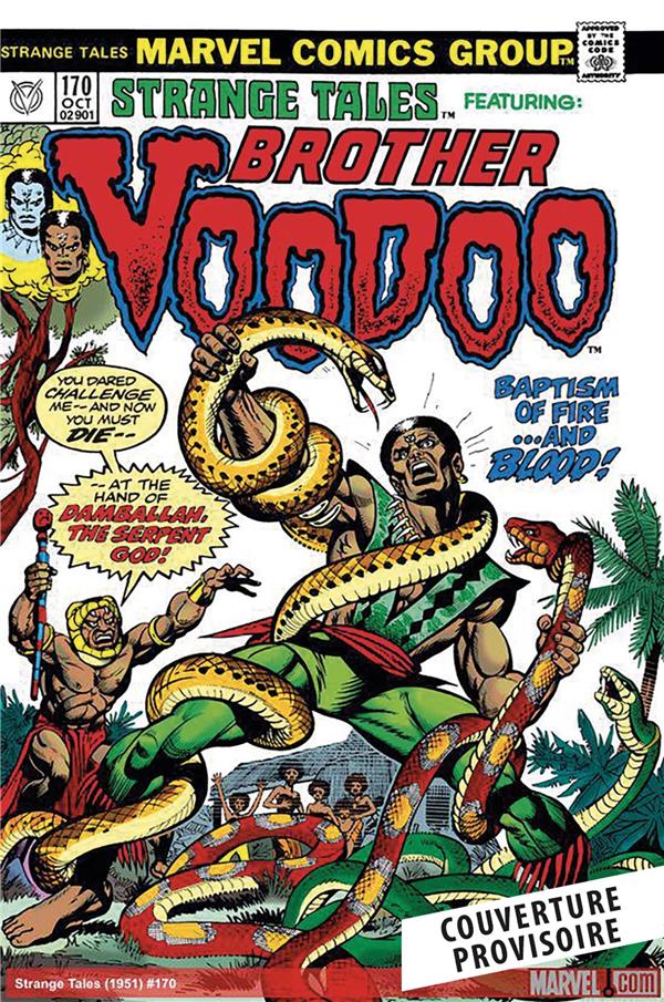 BROTHER VOODOO : L'INTEGRALE 1973-1990 (T01)