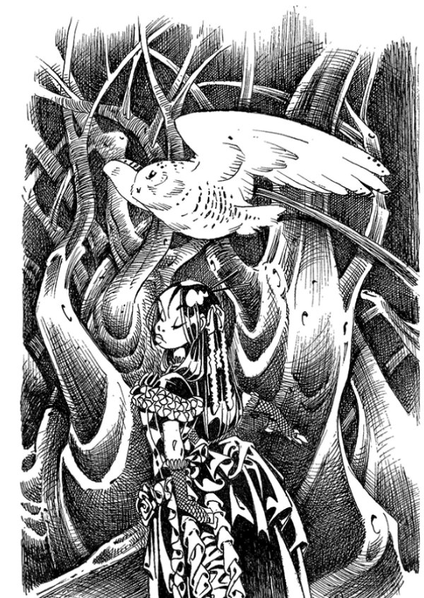 BLANCHE LUNE ET LA CHOUETTE PAR DIDIER CRISSE - EX-LIBRIS A4 SIGNÉ LIMITÉ À 50 EXEMPLAIRES EXCLUSIF PULP'S BD