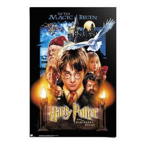 Sticker Harry Potter Movie Poster