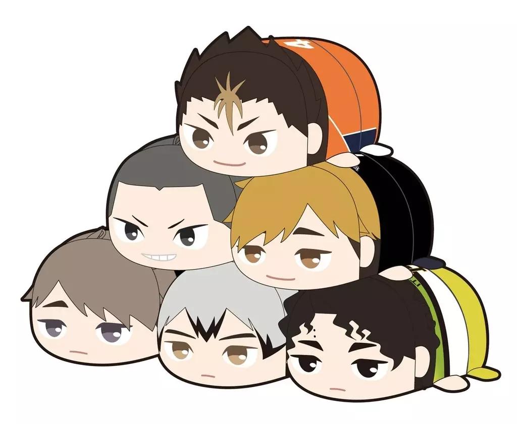 PELUCHE AIMANTÉE MYSTÈRE HAIKYU