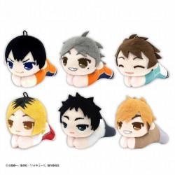 PELUCHE AIMANTÉE MYSTÈRE HAIKYUU SERIE 2