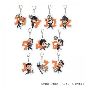 SACHET MYSTERE PORTE CLÉ ACRYLIQUE HAIKYU!! KARASUNO