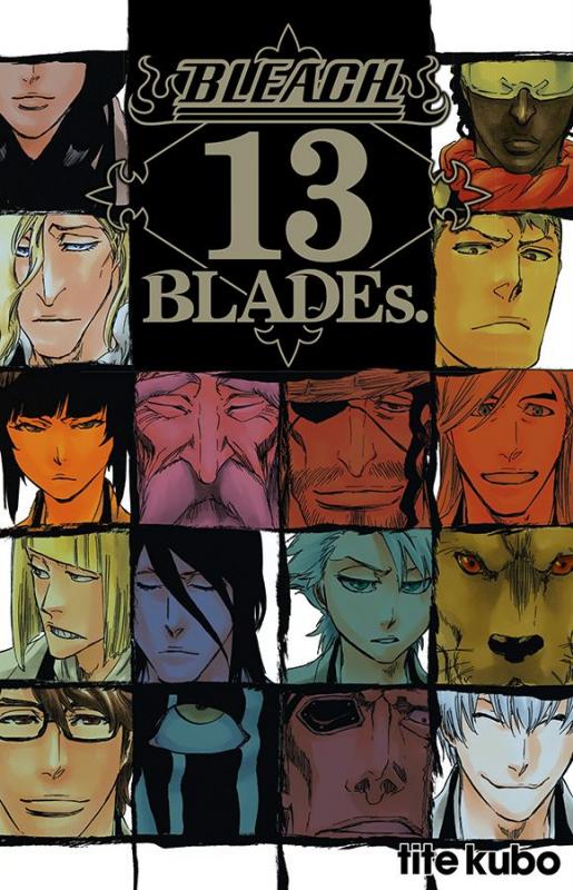 BLEACH DATA BOOK - 13TH BLADES