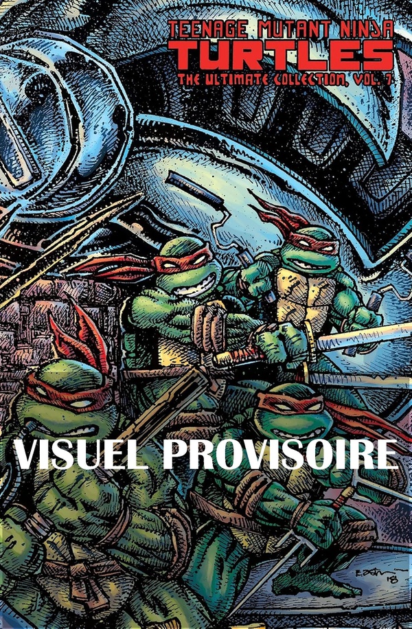 LES TORTUES NINJA - TMNT CLASSICS : QUARANTE ANS D'ILLUSTRATIONS
