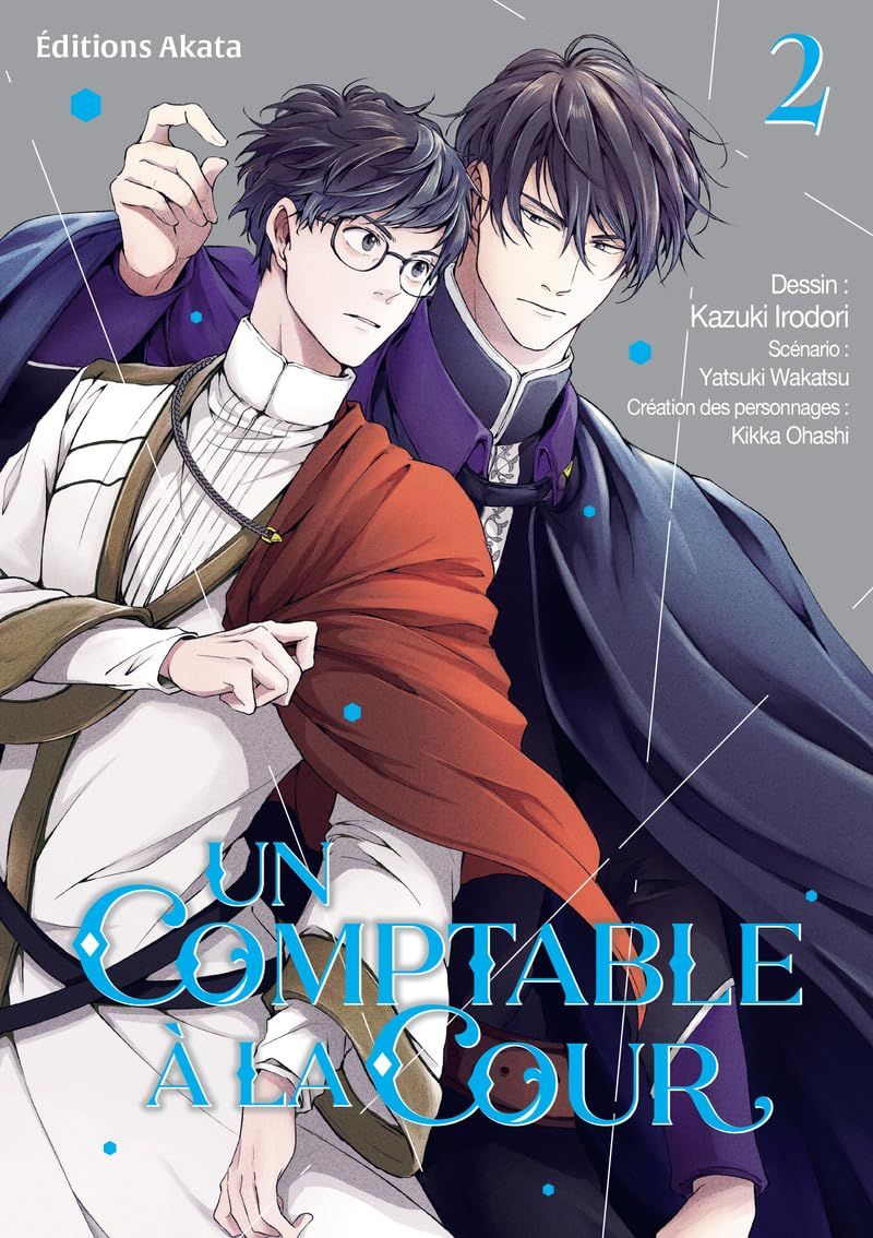 UN COMPTABLE A LA COUR - TOME 2