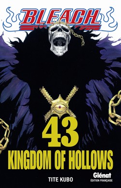 BLEACH - TOME 43 - KINGDOM OF HOLLOWS