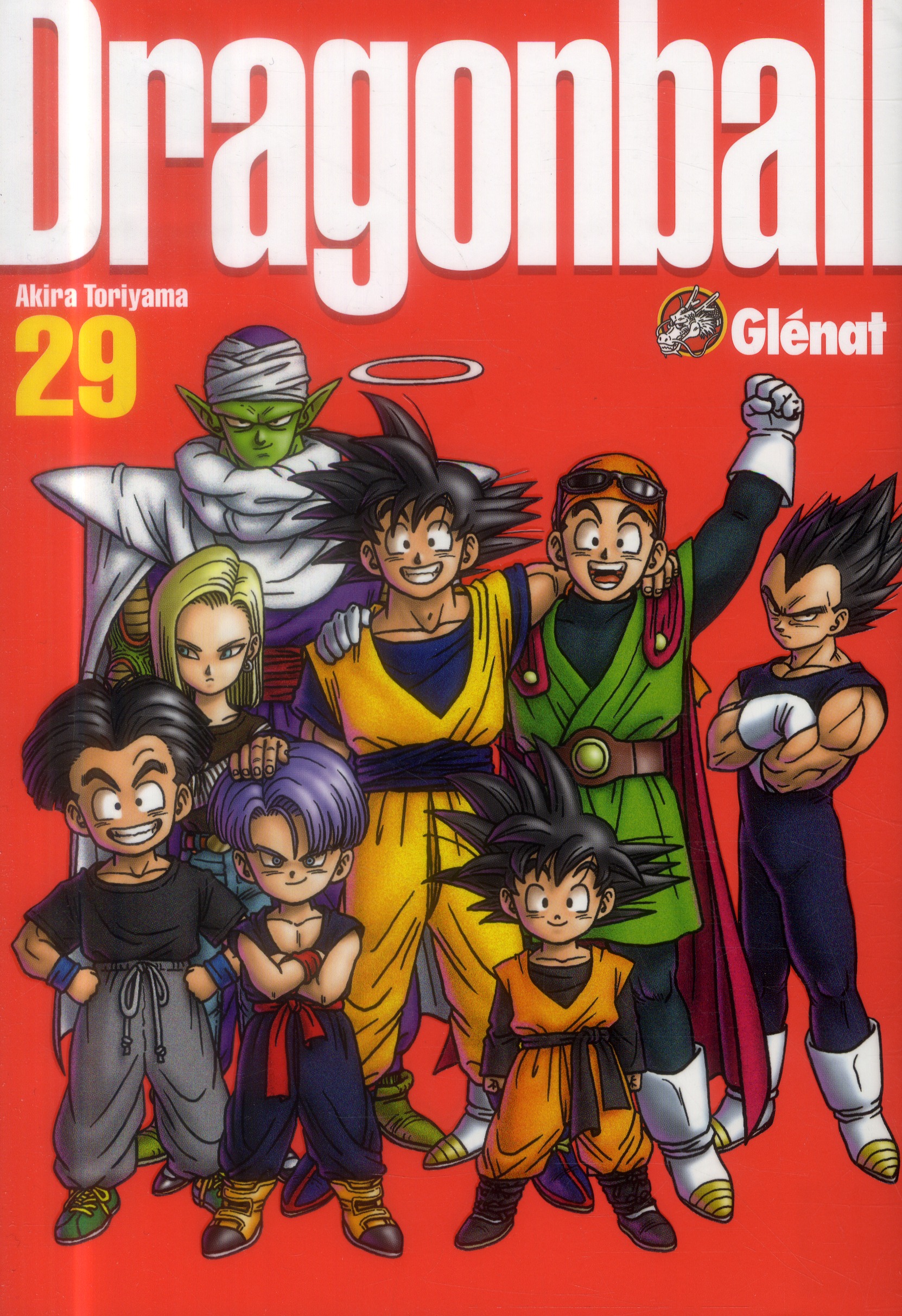 DRAGON BALL PERFECT EDITION - TOME 29