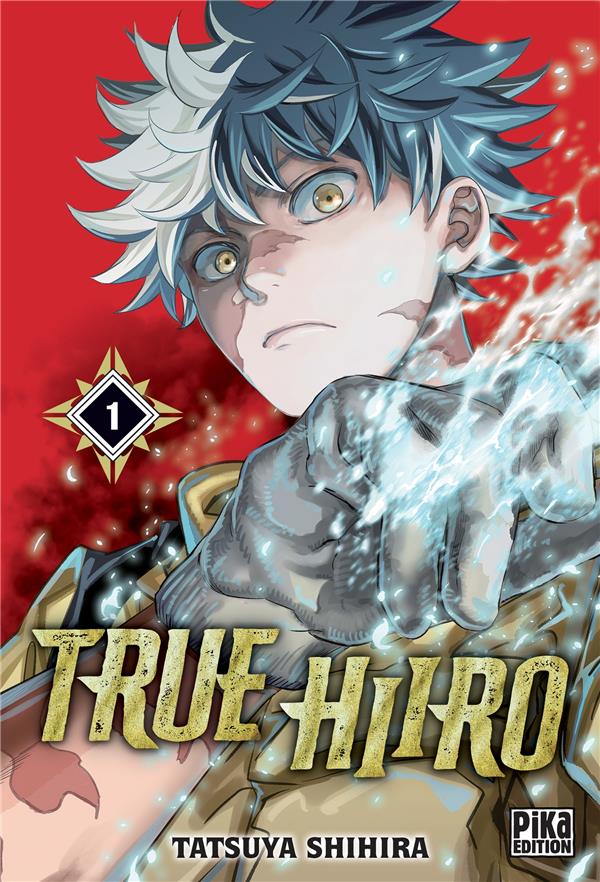 TRUE HIIRO T01