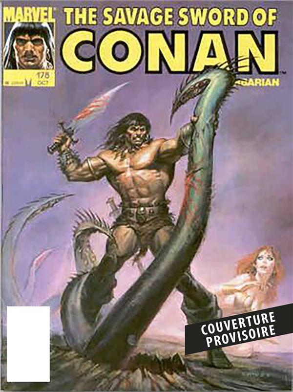 LES CHRONIQUES DE CONAN : L'INTEGRALE 1990 (II) (T30)