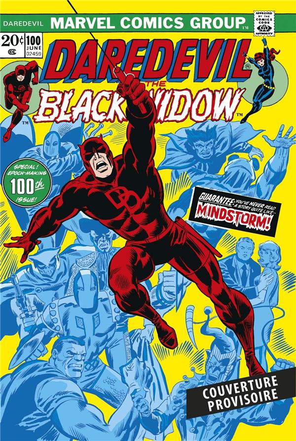 DAREDEVIL : L'INTEGRALE 1973-1974 (T09)