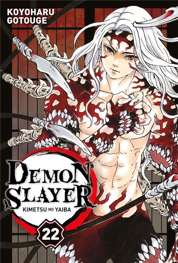 DEMON SLAYER T22