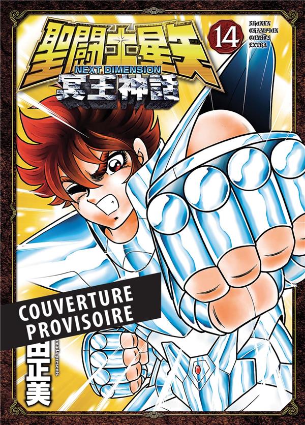 SAINT SEIYA NEXT DIMENSION T14