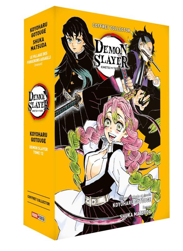 COFFRET DEMON SLAYER T12 + ROMAN JEUNESSE T05