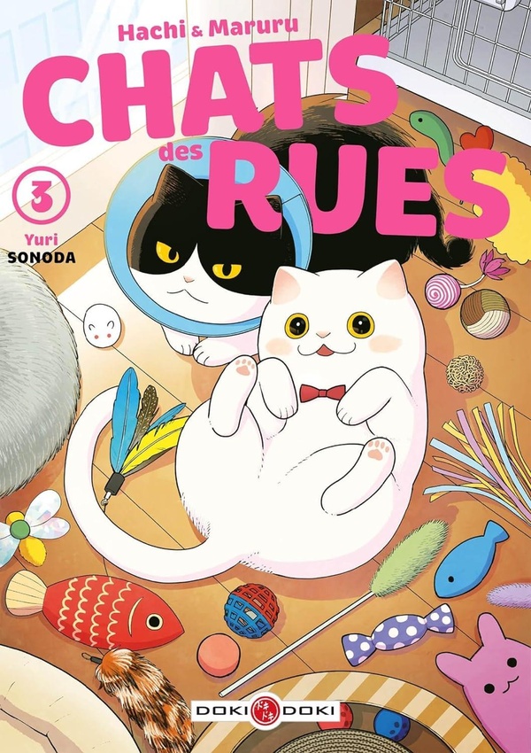 HACHI & MARURU - CHATS DES RUES - ECRIN - VOL 03 ET 04